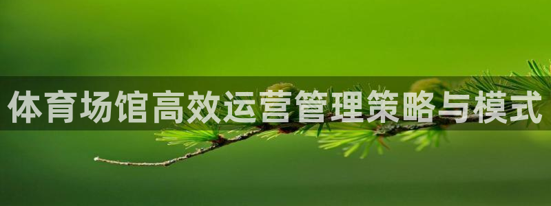 必一体育运动app