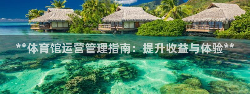 必一体育网页：**体