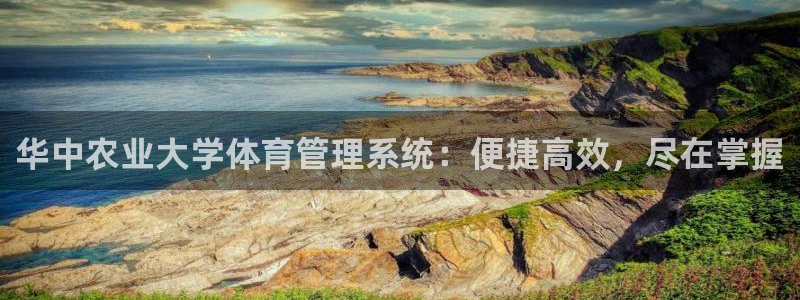 必一体育下载登入