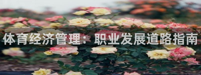 必一体育app下载最