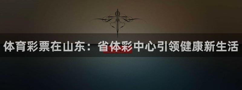 必一体育手机下载