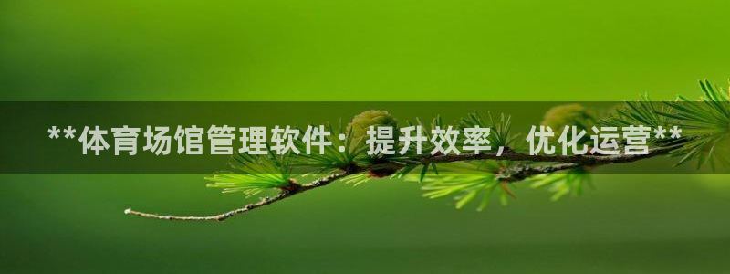 必一体育下载app：