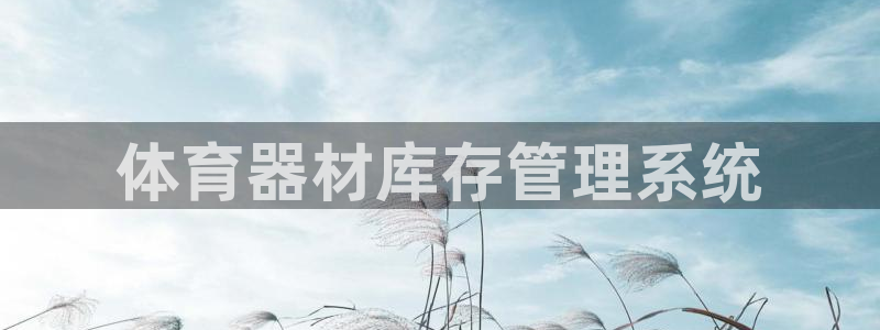 必一体育在线官网：体