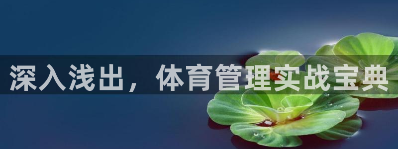 必一体育sport下