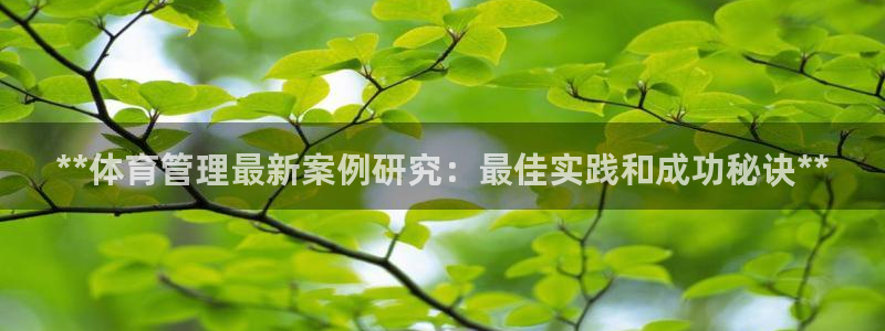 必一体育sportB