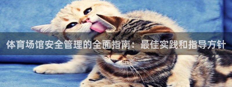 必一体育没了：体育场