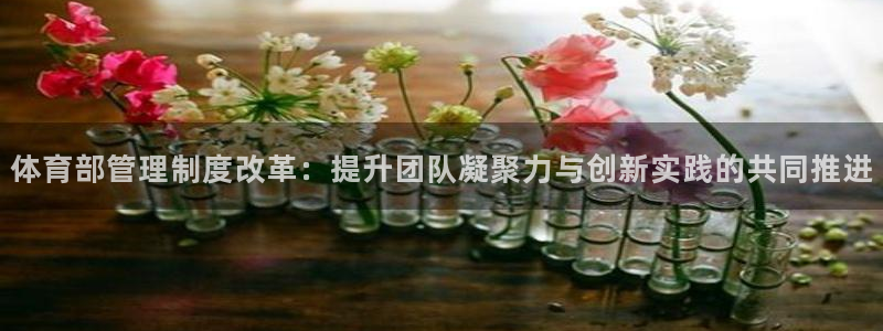 必一运动体育app：
