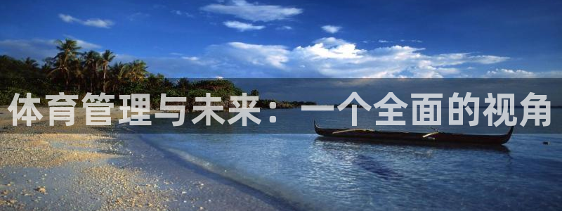 必一体育下载：体育管理与未来：一个全面的视角