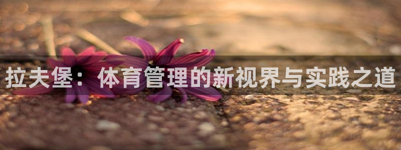 必一体育官网网站：拉