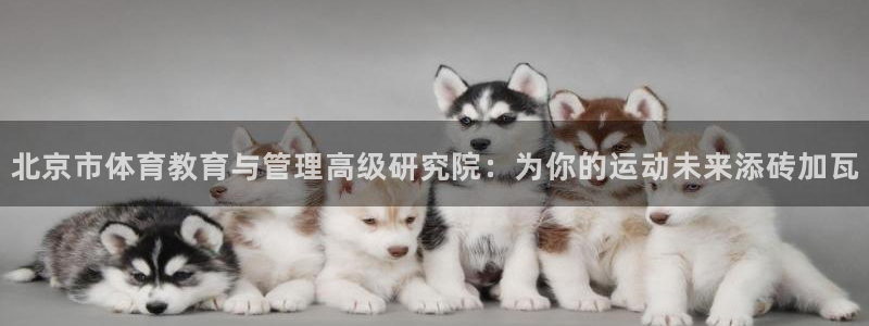 必一体育全站在线登录