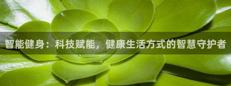 必一体育网页版登录：
