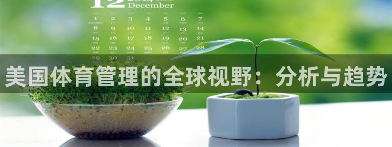 必一体育app官方网站：美国体育管理的全球视野：分析与趋势