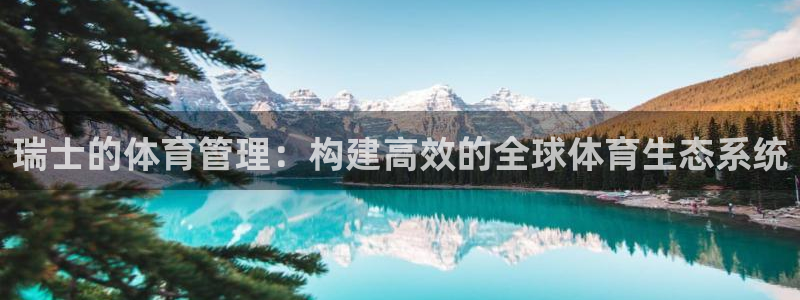 必一体育官方网站入口：瑞士的体育管理：构建高效的全球体育生态