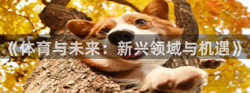必一运动aop：《体