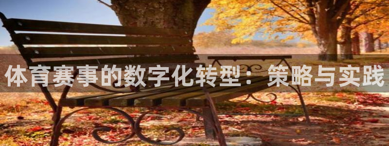 必一体育在线玩：体育赛事的数字化转型：策略与实践