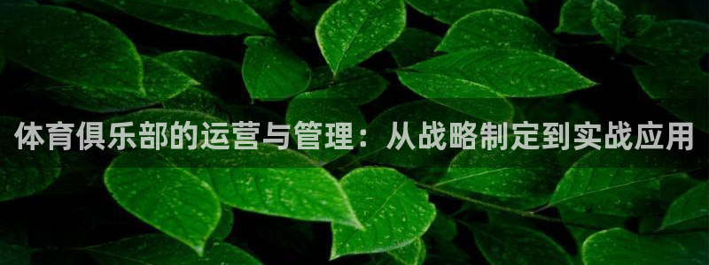 必一体育下载秀给网：体育俱乐部的运营与管理：从战略制定到实战