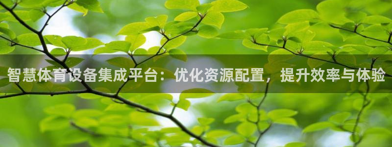 必一体育官方下载：智