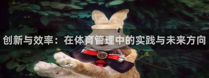 必一体育app下载：创新与效率：在体育管理中的实践与未来方向