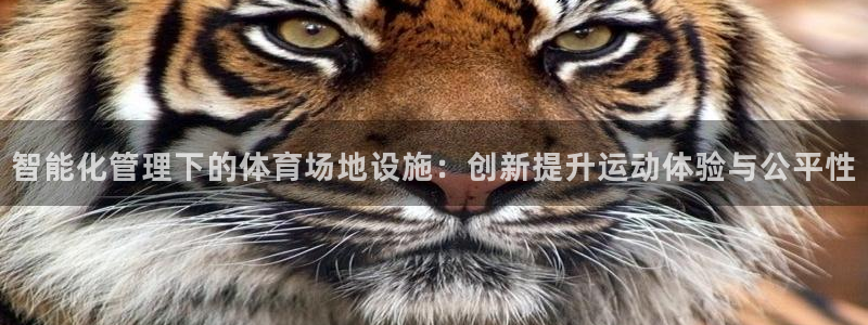 Bsport体育必一