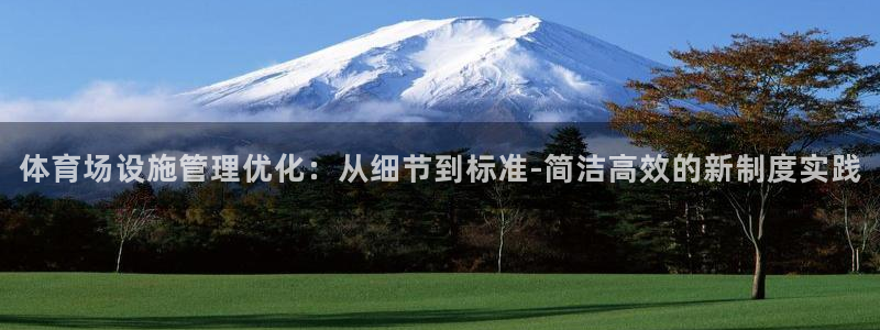 必一体育在哪下：体育
