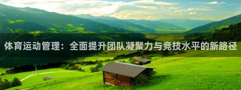 必一体育bsport下载：体育运动管理：全面提升团队凝聚力与