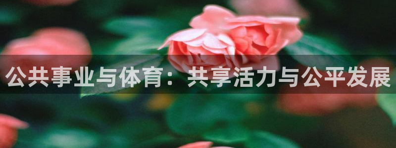 必一体育网页登录版官
