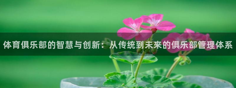 b体育官网下载入口a