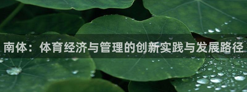 必一体育怎么下载：南