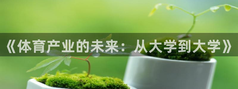 必一体育流水线是什么