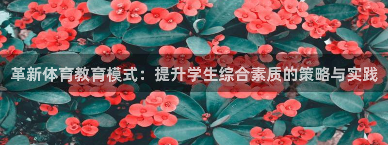 必一体育在线玩：革新