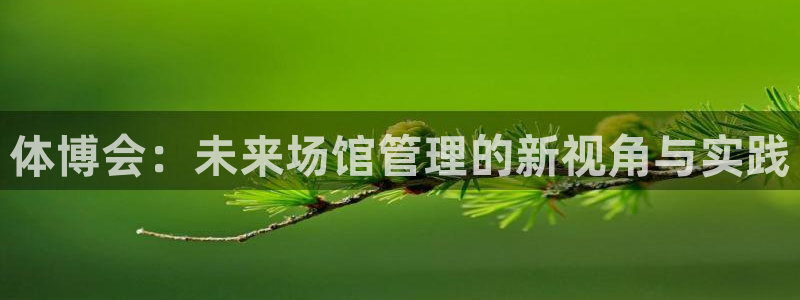 必一体育网址：体博会