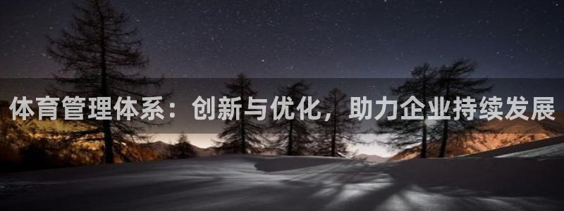 必一体育APP：体育