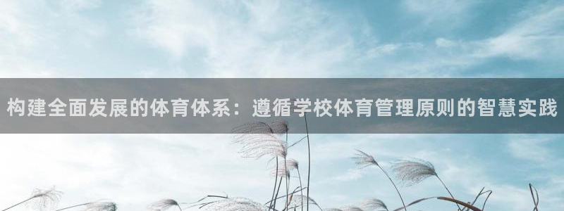 必一体育黑平台：构建全面发展的体育体系：遵循学校体育管理原则