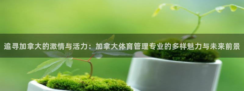 必一体育皮尔斯：追寻