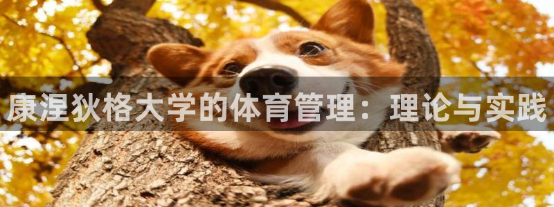 必一体育登录入口AP