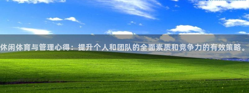 必一体育在线玩：休闲体育与管理心得：提升个人和团队的全面素质