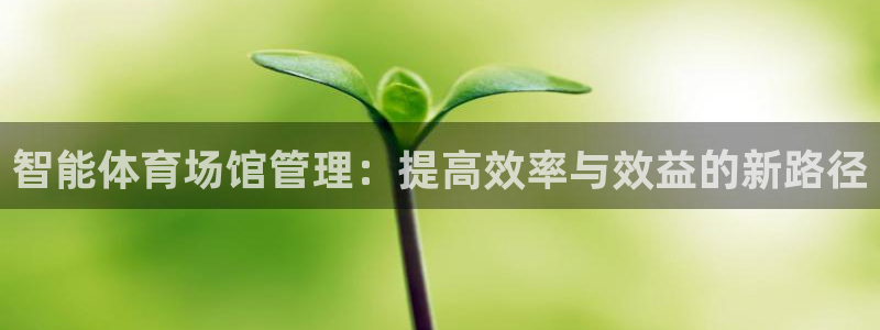 必一体育可靠吗：智能体育场馆管理：提高效率与效益的新路径
