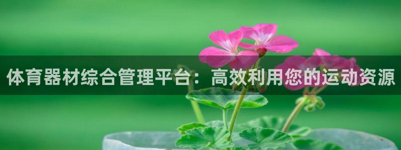必一体育下载一样吗：体育器材综合管理平台：高效利用您的运动资
