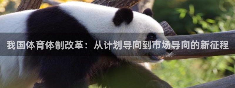 必一体育官方入口：我国体育体制改革：从计划导向到市场导向的新