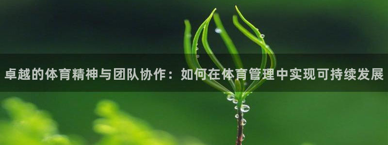 必一体育手机下载：卓越的体育精神与团队协作：如何在体育管理中
