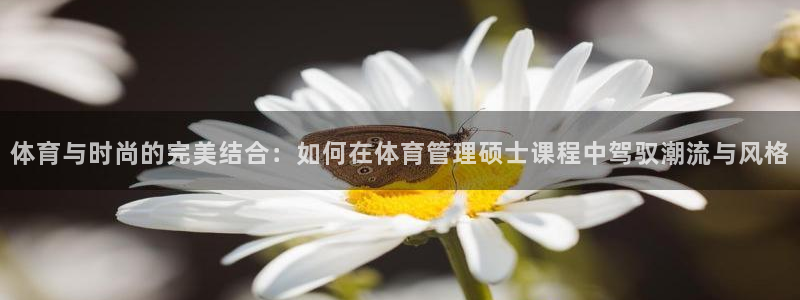 必一运动bsport体育app下载：体育与时尚的完美结合：如