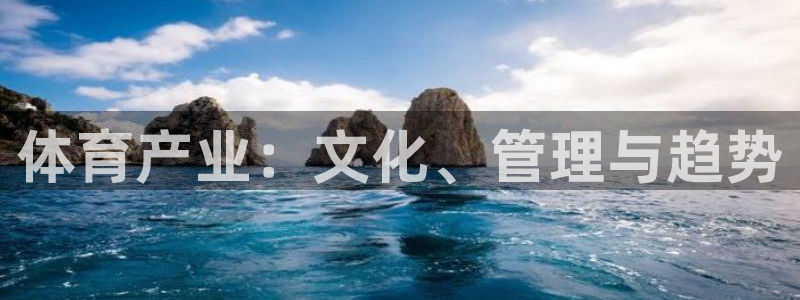 必一运动验证码：体育产业：文化、管理与趋势