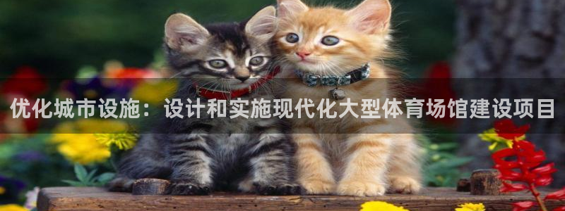必一运动 b 体育素描版：优化城市设施：设计和实施现代化大型