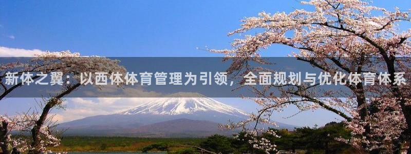 必一体育网站：新体之翼：以西体体育管理为引领，全面规划与优化