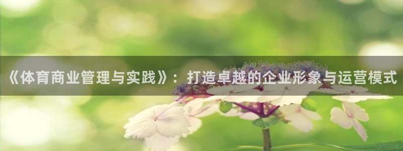 必一体育怎么下载：《体育商业管理与实践》：打造卓越的企业形象