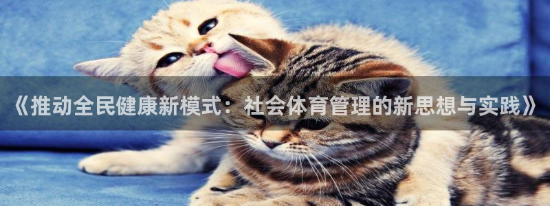 必一体育官方网站入口：《推动全民健康新模式：社会体育管理的新
