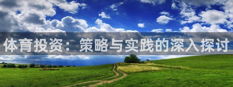 必一运动体：体育投资：策略与实践的深入探讨