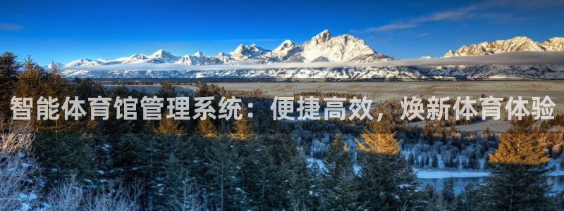 必一体育下载义