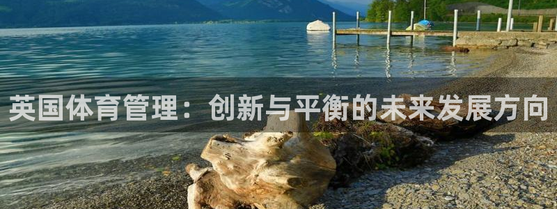 必一体育手机下载：英