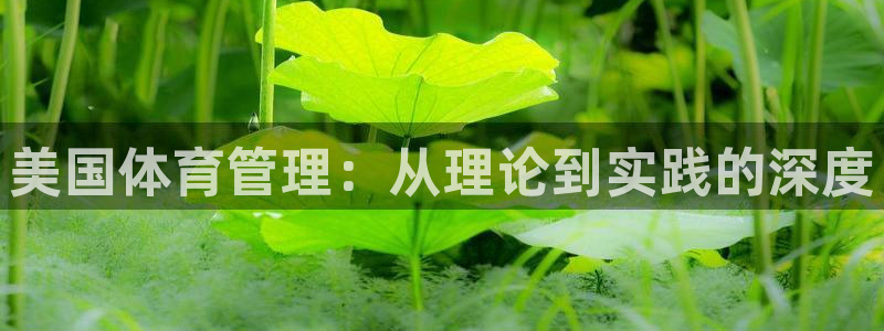 必一体育app下载：